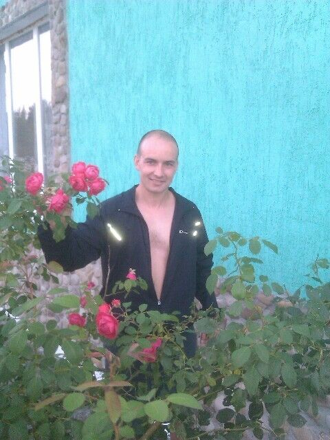  -,   Slaider, 39 ,   ,   , c 