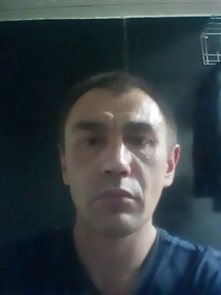  15166055  , 43 ,    