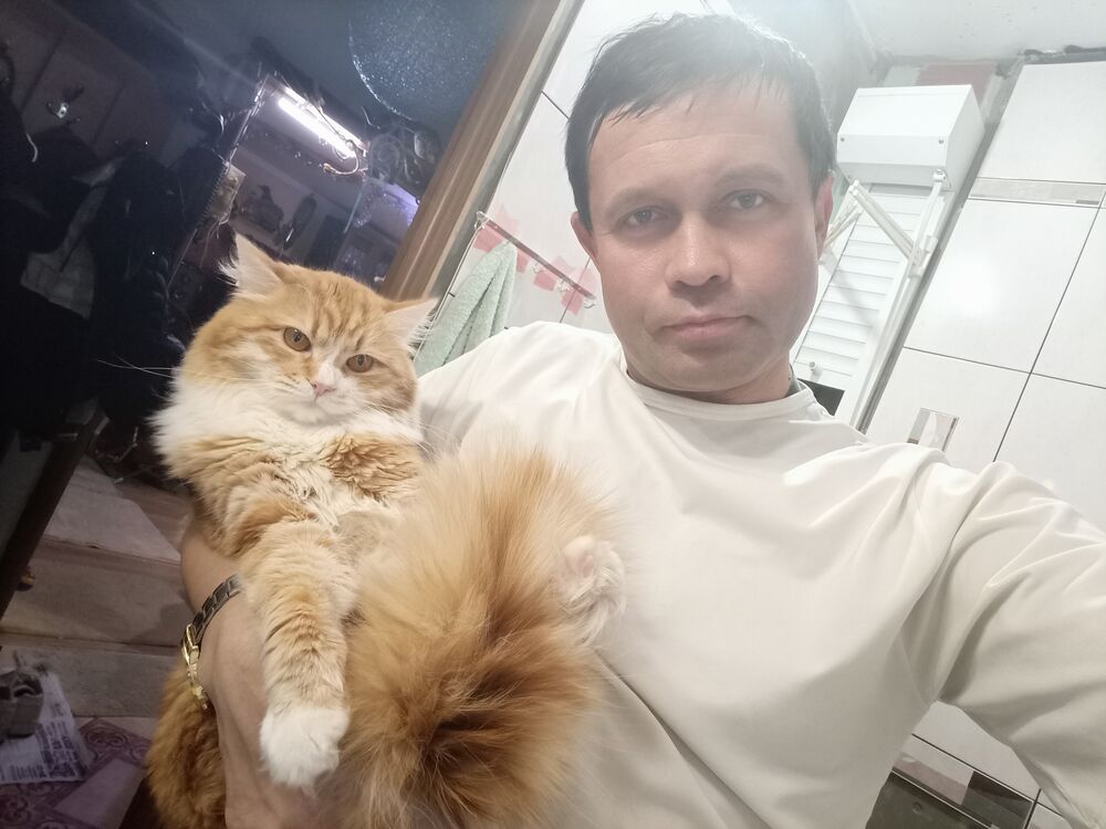 ���������� ��������, ���� ������� �������, 45 ���, ������������ ��� ������, ����� � ���������, c�������� ���������