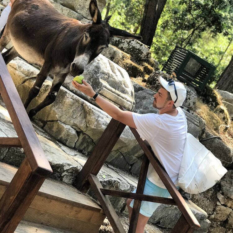 ���� 18779955 ������� �������, 32 ����, ���� ���������� � ������