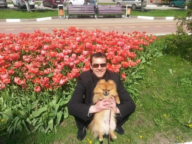 ���� 9984095 ������� ����, 47 ���, ���� ���������� � ���������