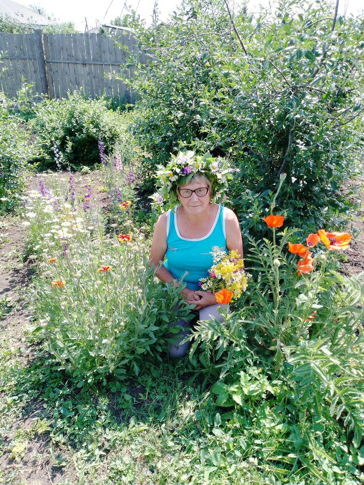 ���������� ������, ���� ������� ������ �����, 66 ���, ������������ ��� ����� � ���������, c�������� ���������, ���������