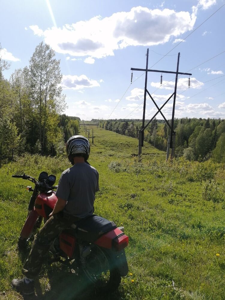  27462435  , 21 ,    