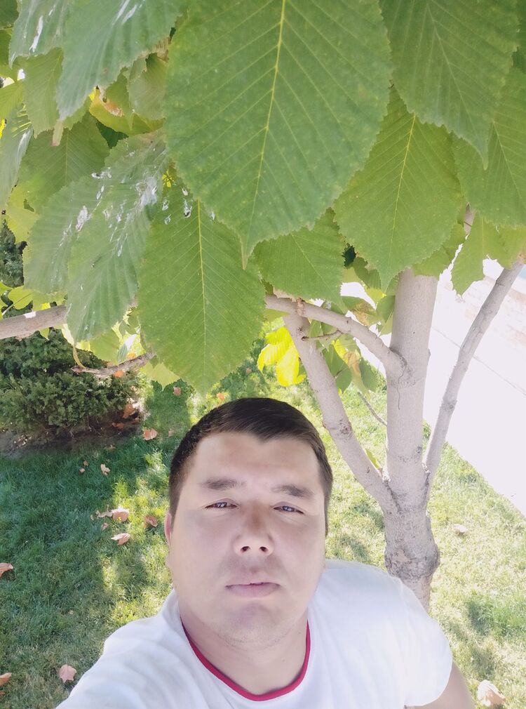 ���������� �������, ���� ������� Abror, 37 ���, ������������ ��� ������, ����� � ���������, c�������� ���������