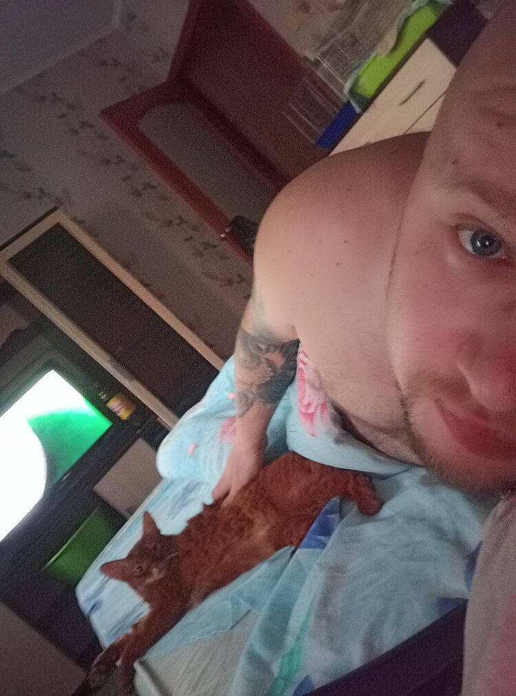 ���������� �����-���������, ���� ������� ������, 31 ���, ������������ ��� ������, ����� � ���������