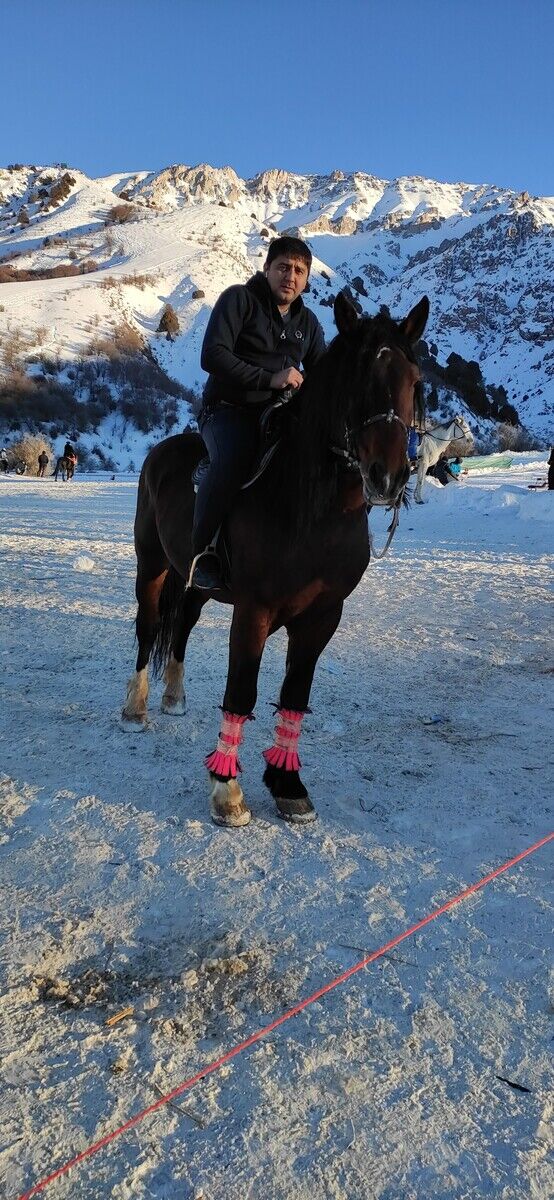 ���� 22427535 ������� Jamshid, 38 ���, ���� ���������� � ��������