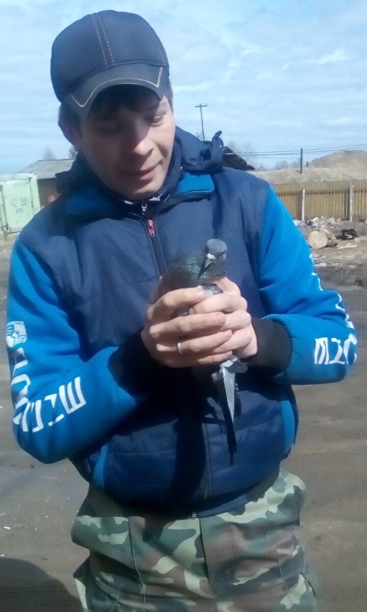  15753495  , 37 ,    
