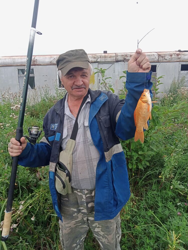 ���� 33997635 ������� ����, 64 ����, ���� ���������� � �������