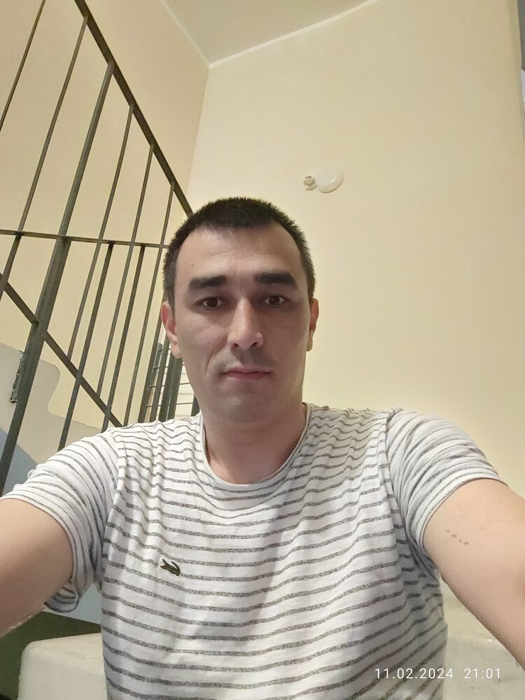  50824495  , 33 ,    