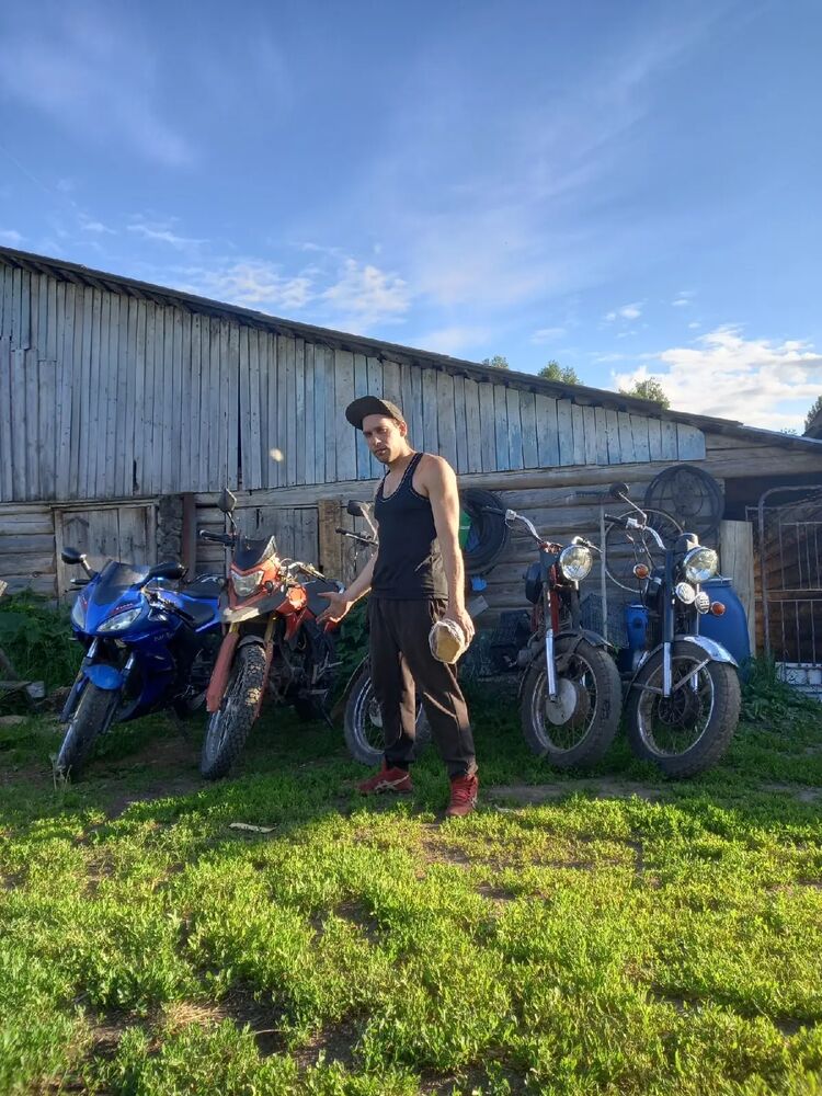  31768725  , 28 ,    