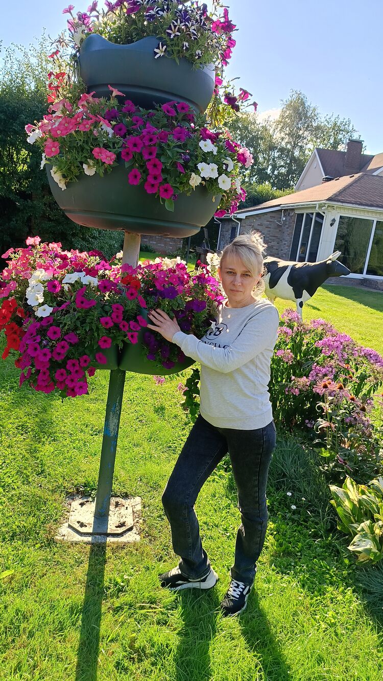 ���������� ������, ���� ������� �����, 48 ���, ������������ ��� c�������� ���������