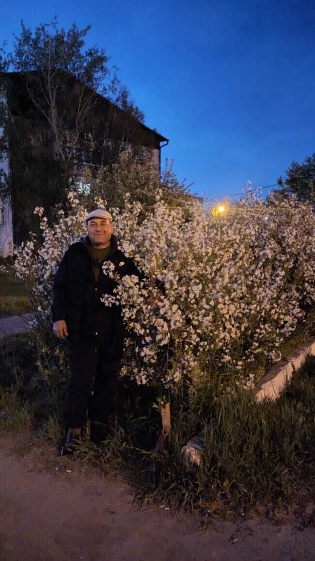  ,   , 53 ,     , c 