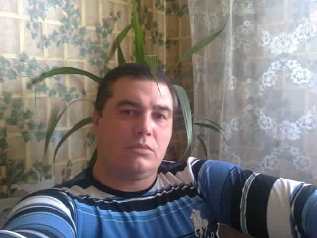 ���� 6871185 ������� �������, 44 ����, ���� ���������� � ��������