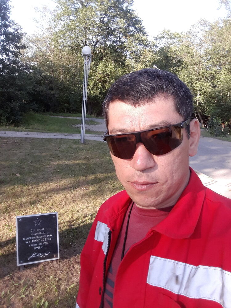  13066585  , 50 ,    
