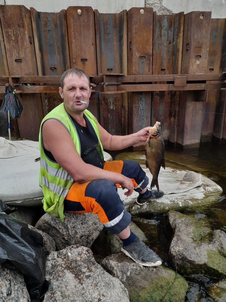 ���� 36205905 ������� ������, 42 ����, ���� ���������� � �����-����������