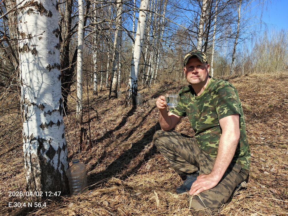 ���� 56297005 ������� �������, 46 ���, ���� ���������� � ������