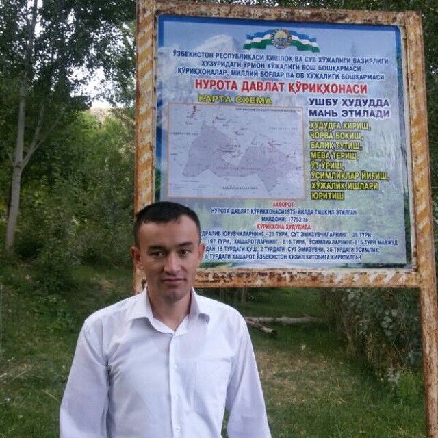 ���� 17647415 ������� Zafar, 40 ���, ���� ���������� � ��������