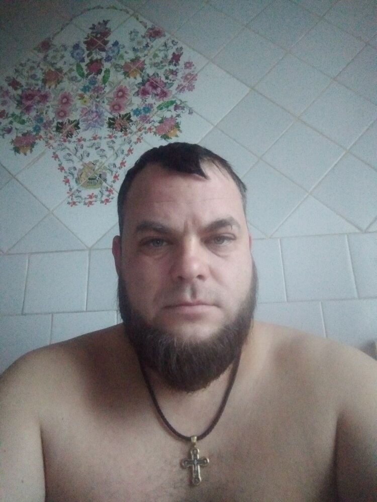  31928335  , 43 ,    