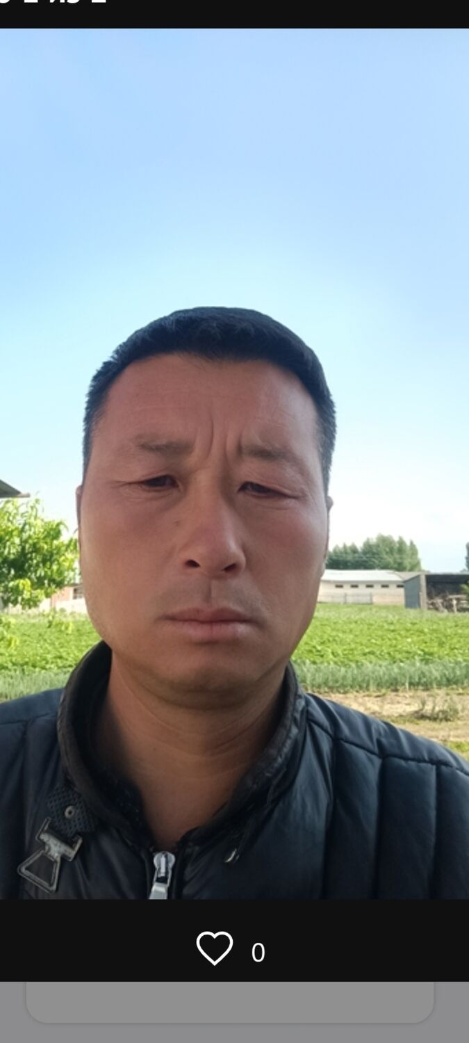  47048785  , 44 ,    