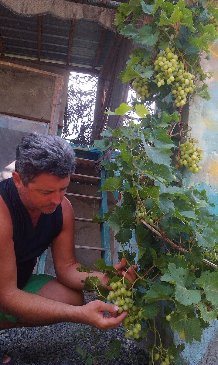  ,   , 50 ,     , c 