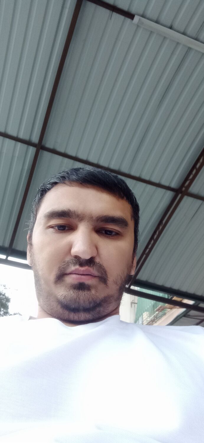 ���� 45401085 ������� Odil, 36 ���, ���� ���������� � ��������