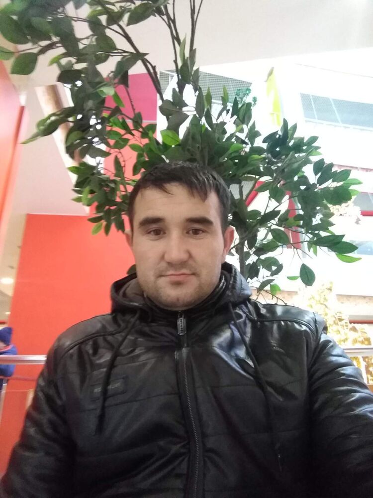 ���������� �������, ���� ������� Hamid, 40 ���, ������������ ��� ������, ����� � ���������, c�������� ���������, ���������