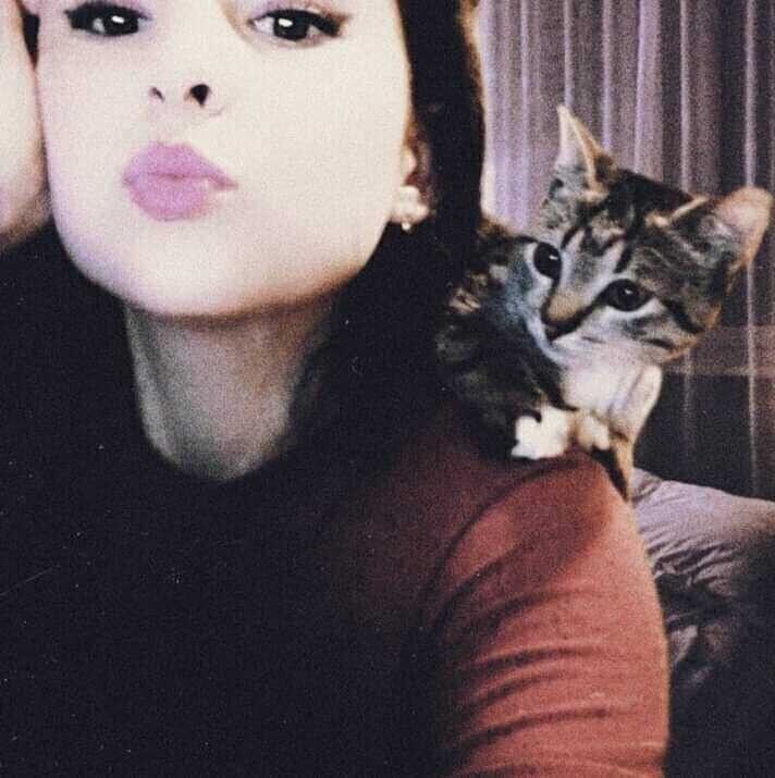  ,   Milota, 26 ,   ,   , c 
