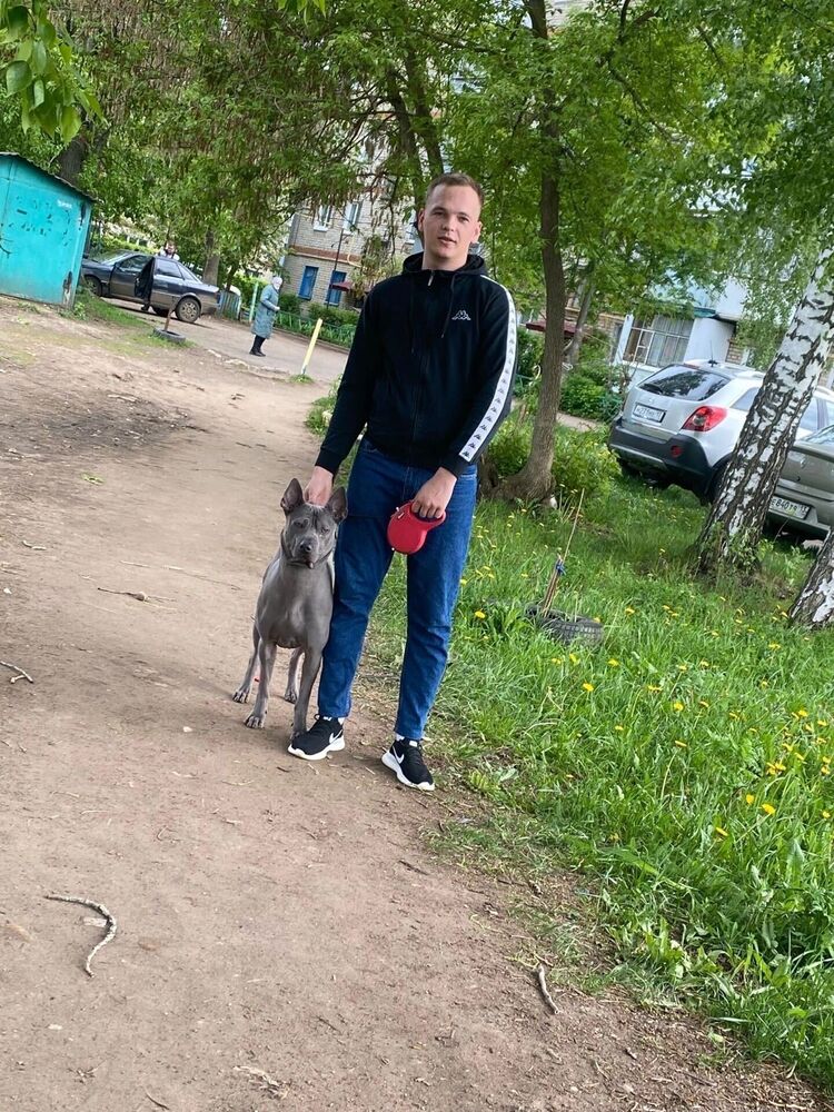 ���� 39630485 ����� ����, 23 ����, ���� ���������� � �������������