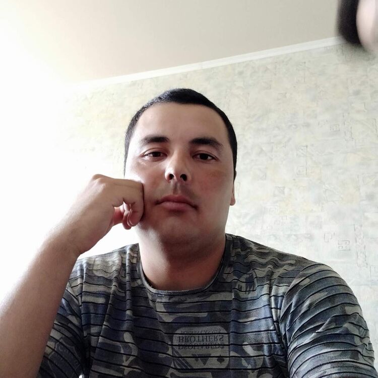  18114685  Artik, 31 ,    