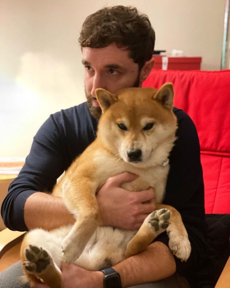 ���������� ���������, ���� ������� ����, 34 ����, ������������ ��� ����� � ���������, c�������� ���������