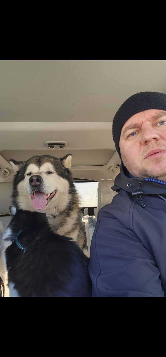 ���������� ������������, ���� ������� ���������, 43 ����, ������������ ��� ������, ����� � ���������, c�������� ���������