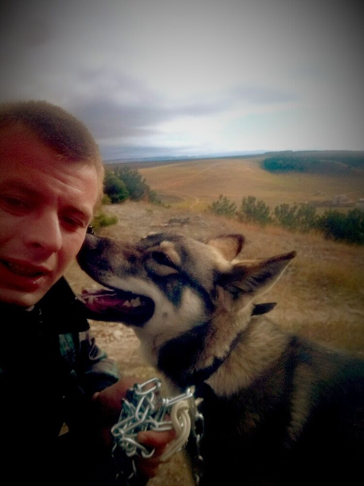 ���������� �����������, ���� ������� ���������, 33 ����, ������������ ��� ������, ���������