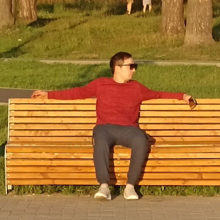  31194765  , 28 ,    