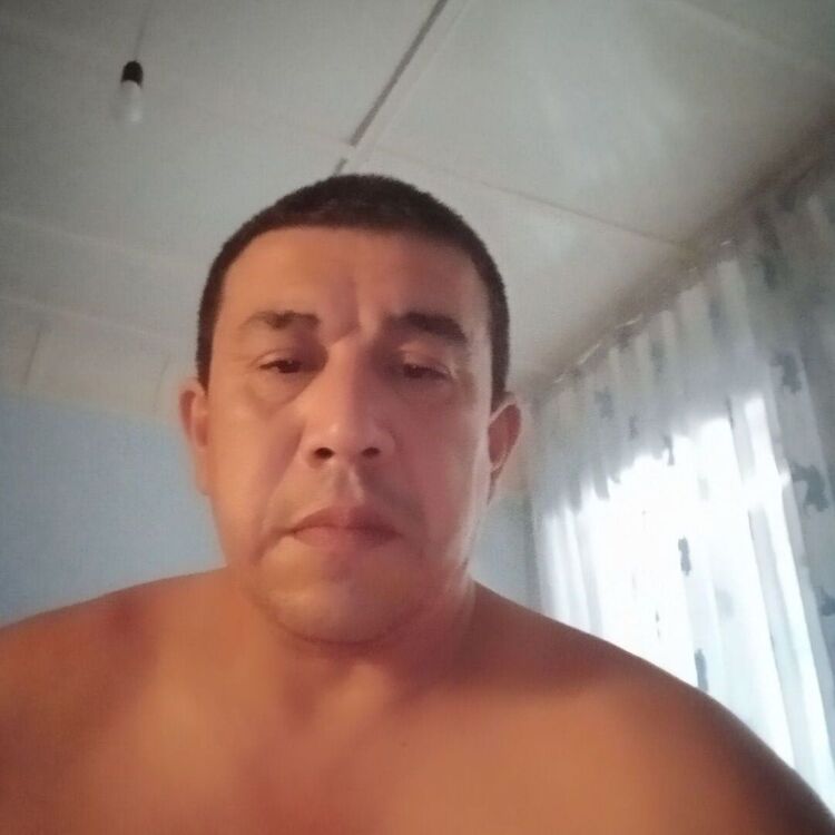  23705865  , 45 ,    