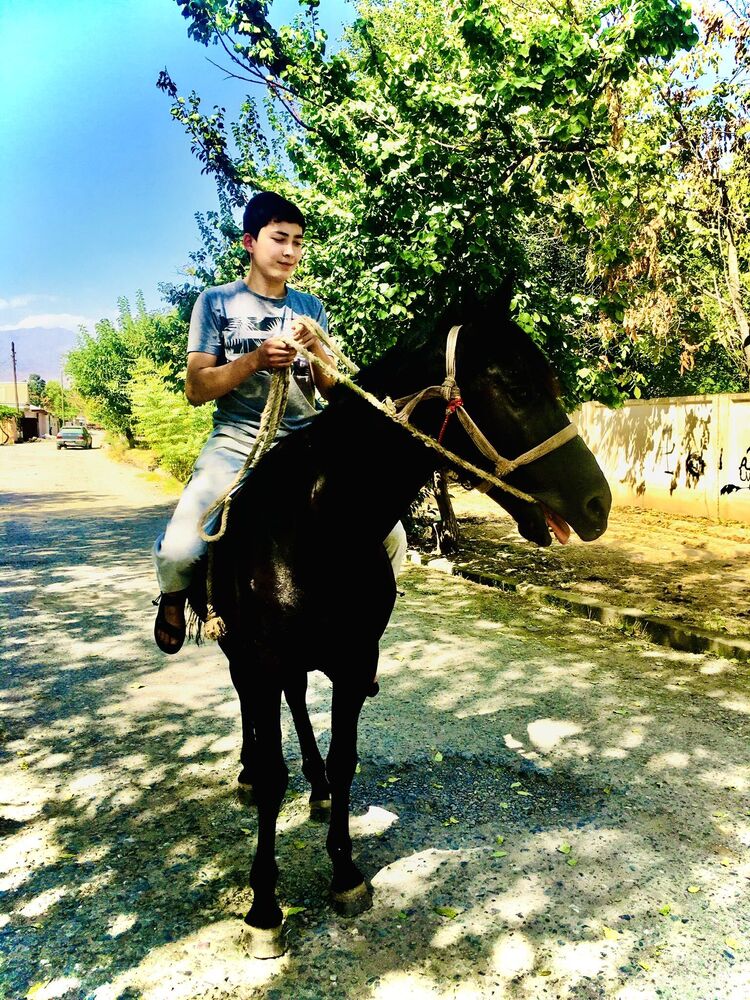  38132175  Mustafa, 22 ,    