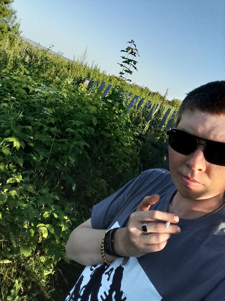  52532295  , 33 ,    