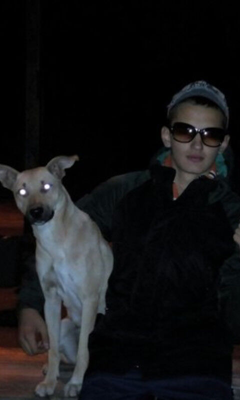 ���� 11252255 ������� ��� �����, 26 ���, ���� ���������� � �������