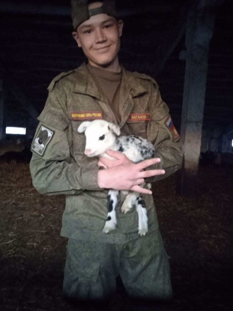 ���� 42955495 ����� ����, 23 ����, ���� ���������� � ������