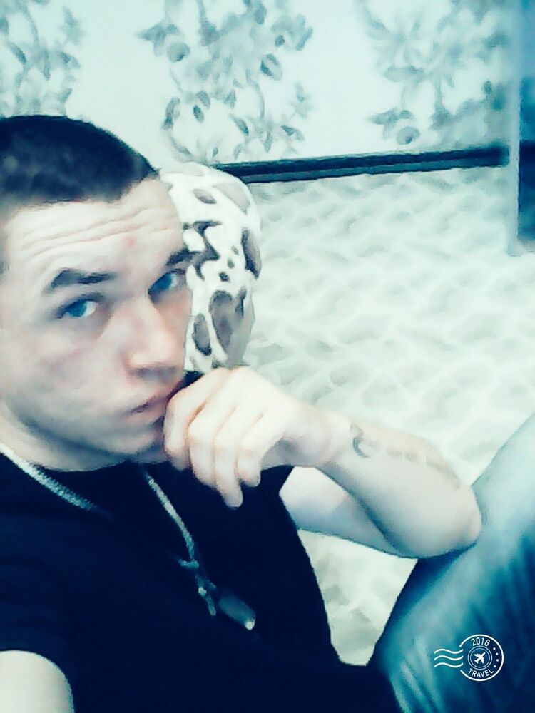  9316445  , 33 ,    