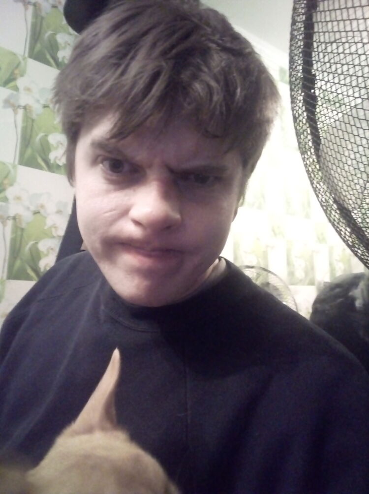 ���������� �����-���������, ���� ������� ��������, 29 ���, ������������ ��� ������, ����� � ���������, c�������� ���������, ���������