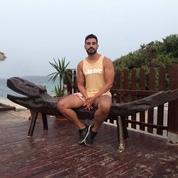 ���� 50313565 ������� �����, 36 ���, ���� ���������� � ������