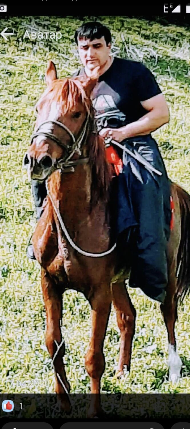 ���������� ������, ���� ������� ������, 39 ���, ������������ ��� ������, ����� � ���������