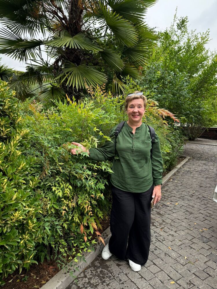 ���������� ����������, ���� ������� ������, 59 ���, ������������ ��� c�������� ���������, ���������