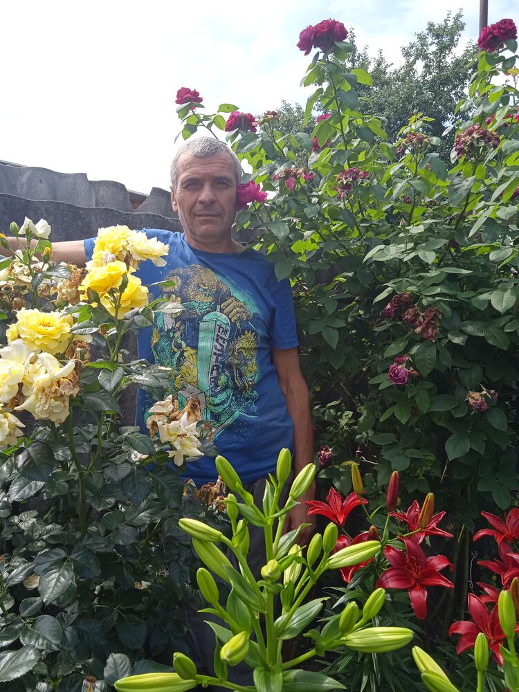  ,   , 53 ,   c 