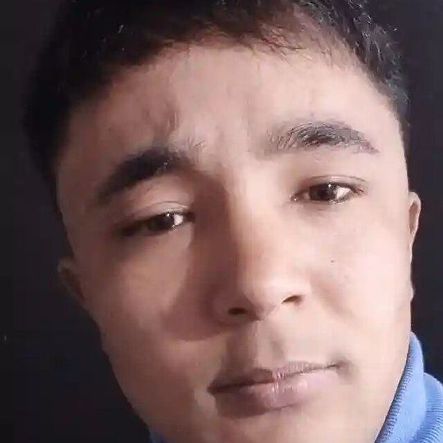  33908115  , 25 ,    