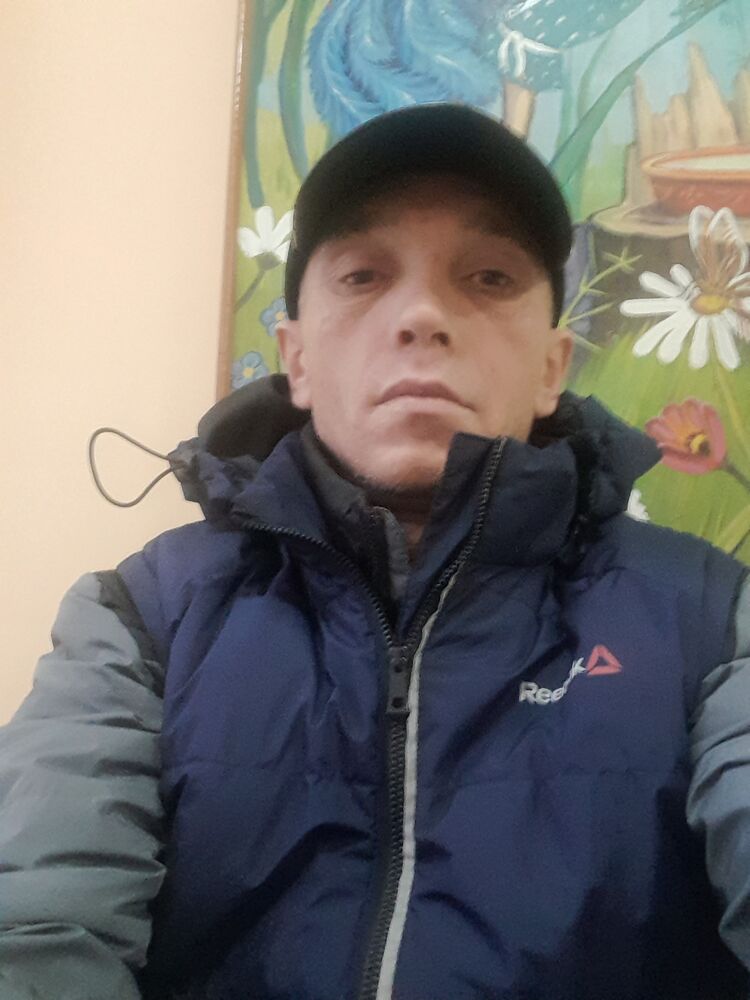  39308855  , 43 ,    