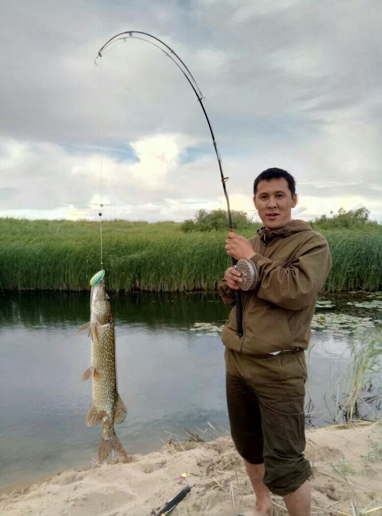 ���� 16464345 ������� ������, 37 ���, ���� ���������� � ��������