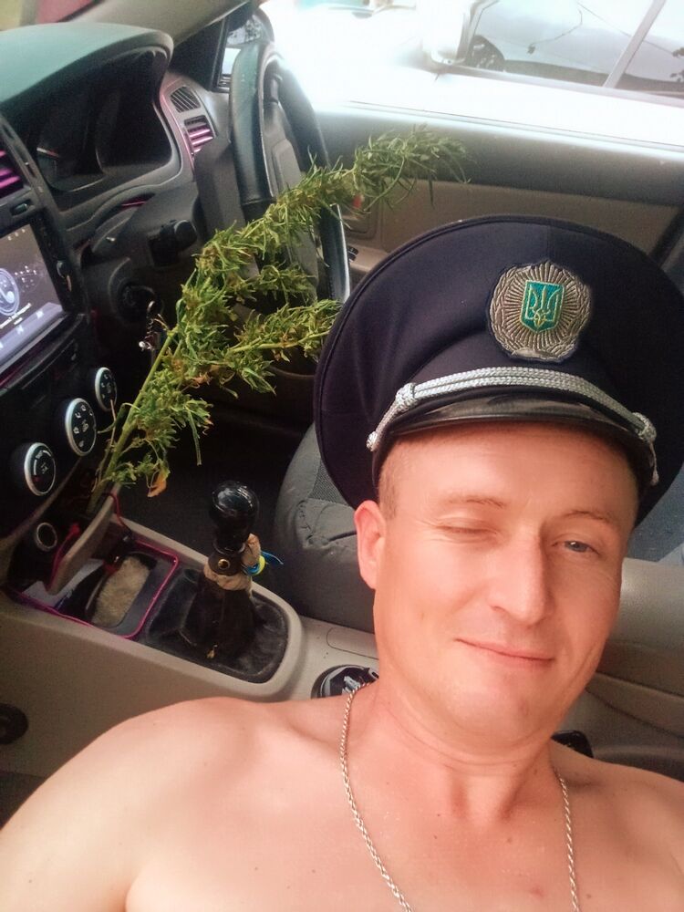 ���� 56155165 ������� ����, 36 ���, ���� ���������� � �������