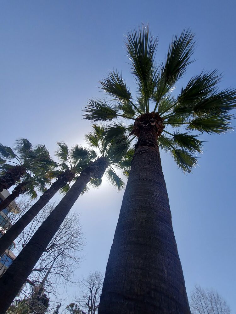 ���� 27837285 ������� ����, 35 ���, ���� ���������� � ����