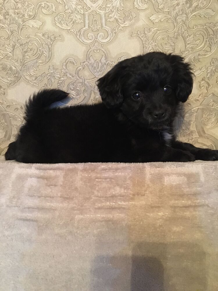 ���� 44875625 ������� ��������, 27 ���, ���� ���������� � ����